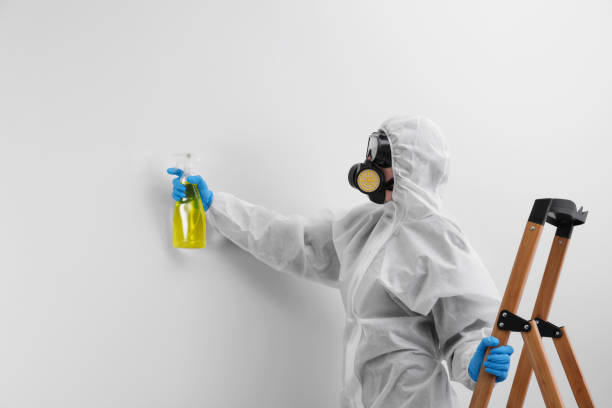 Best Residential Mold Inspection & Testing  in USA